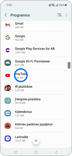 Programų rodinys.