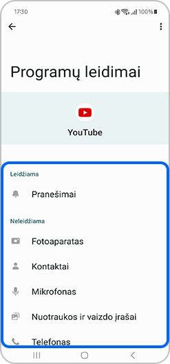 Skilčių leidžiama ir neleidžiama rodinys.