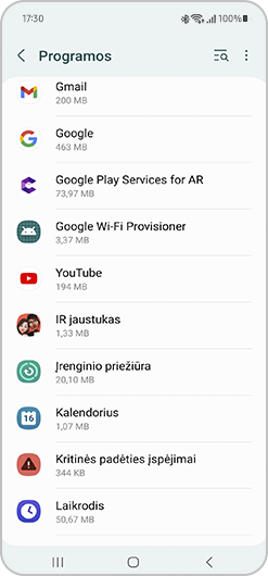 Programų ekrano rodinys.