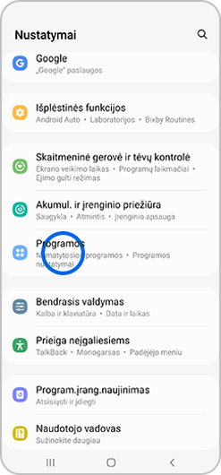 Pasirinktas programų meniu