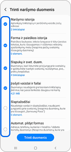 Ištrynimui pasirinkti naršymo duomenys.