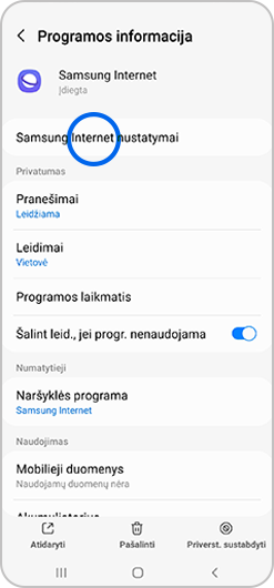 Pasirinkta parinktis „Samsung“ interneto parametrai