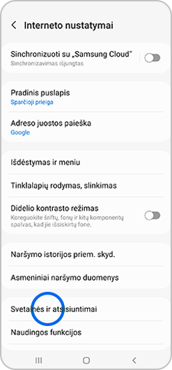 Pasirinkta parinktis „Svetainės ir atsisiuntimai“