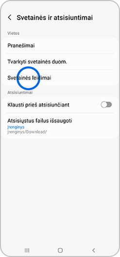 Pasirinkta meniu parinktis „Svetainės leidimai“