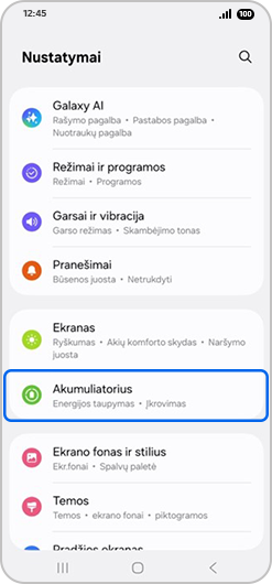 Baterijos ir įrenginio priežiūros parinktis pasirinkta Nustatymuose