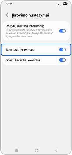 Perjungti Spartusis įkrovimas pasirinkta