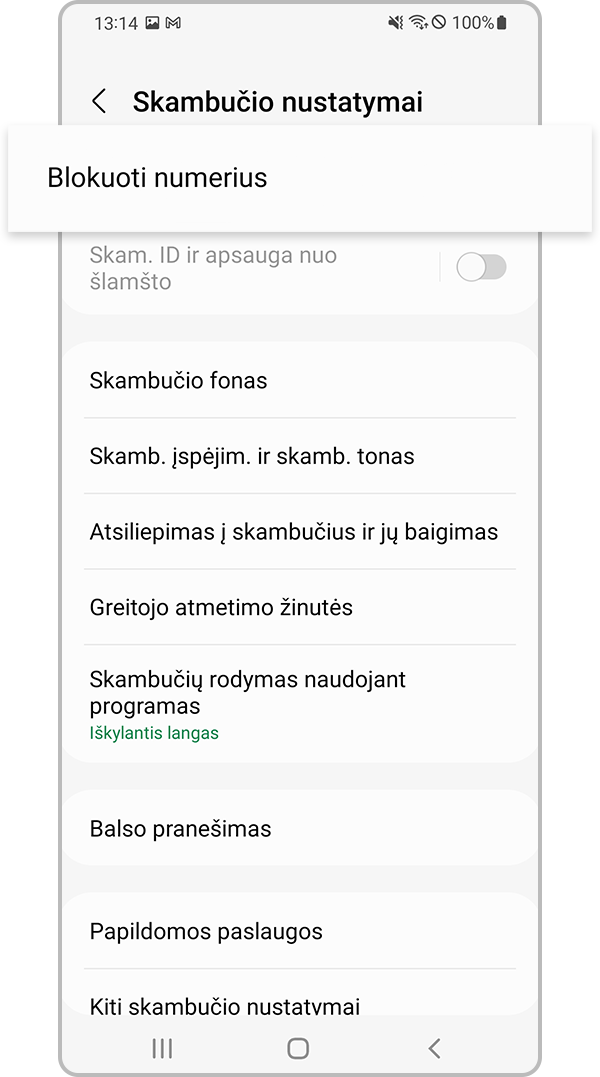 tikrinamas įrenginio nežinomų arba privačių numerių blokavimas, 3 veiksmas