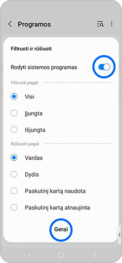 Pasirinkta parinktis Rodyti sistemos programėles ir Gerai