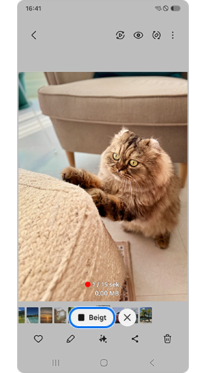 Pieskarieties Apturēt