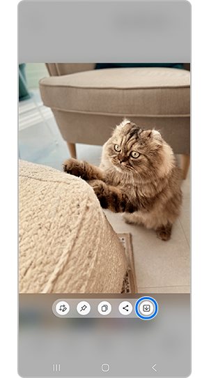 Pieskarieties pogai Saglabāt