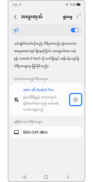 ဘလူးတုသ်မှတစ်ဆင့် ဆက်တင်များ