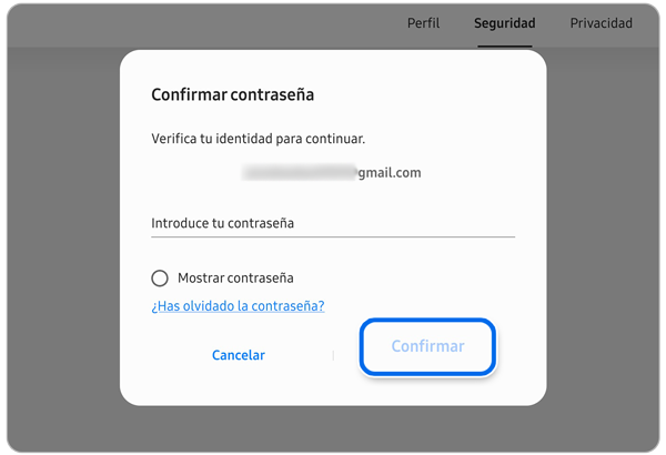 Pantalla de verificación de identidad.