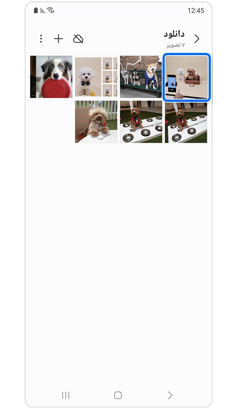 صفحه اصلی گالری