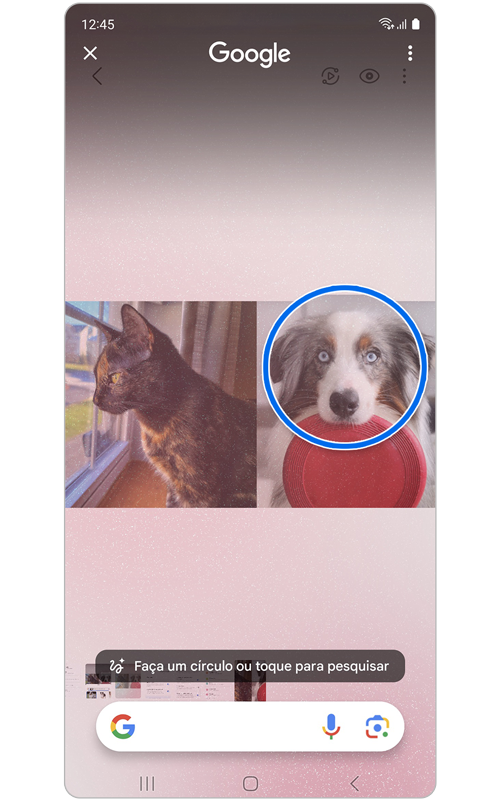 Funcionalidade Fazer um círculo para pesquisar ativada com um círculo desenhado à volta do animal de estimação.