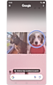 Circle to Search activated with a pet circled.