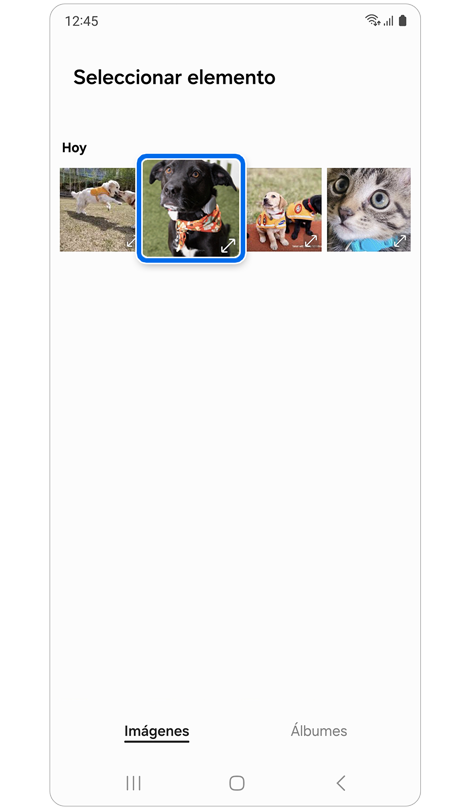 Imágenes en la galería