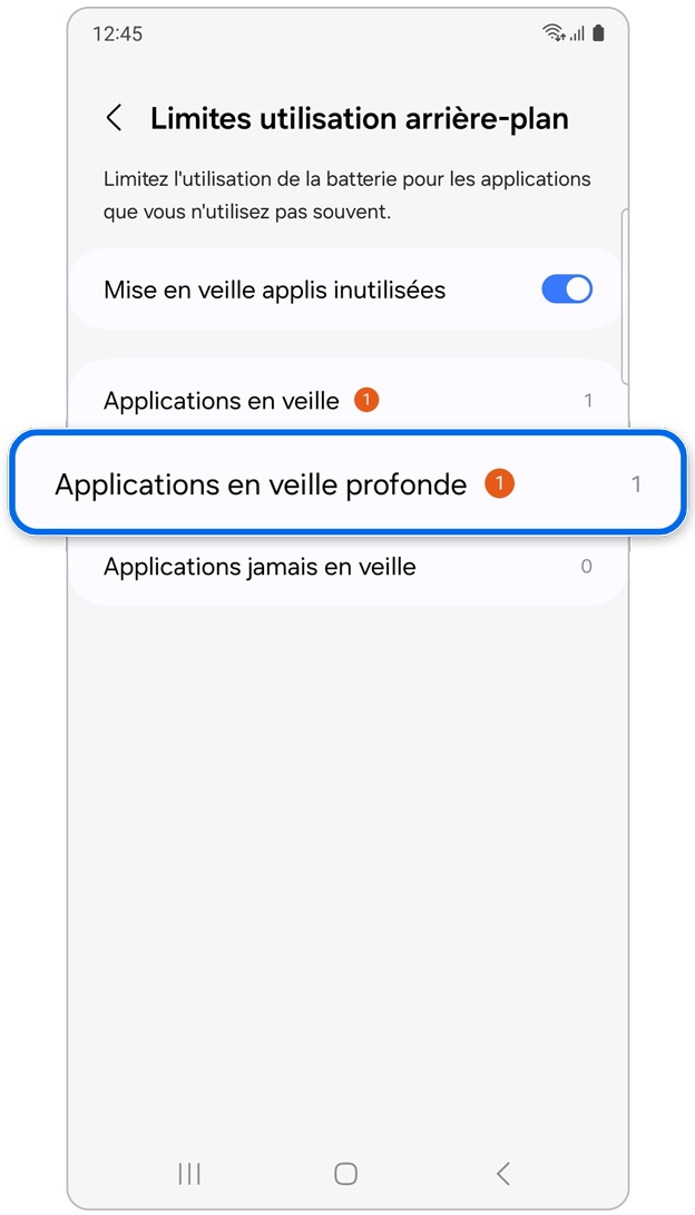 Options de la fonction de limites d'utilisation en arrière-plan