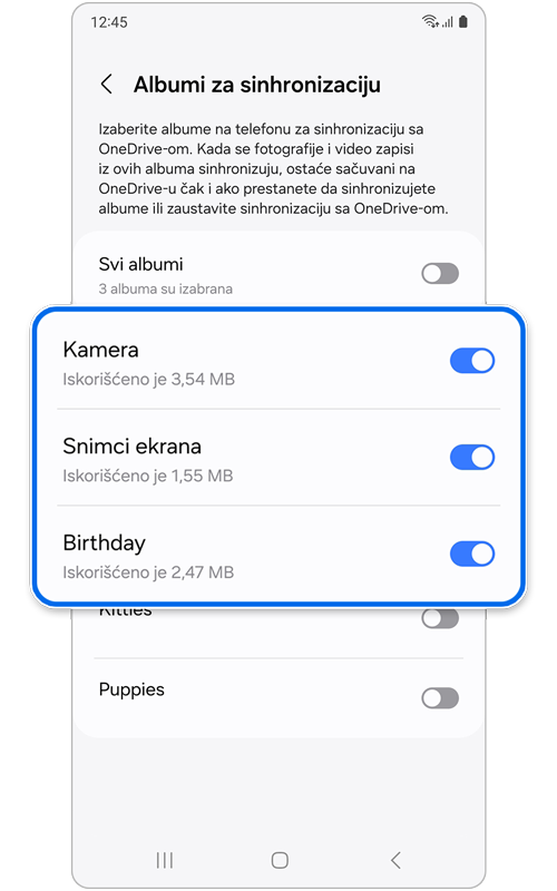 Ekran Albumi za sinhronizaciju