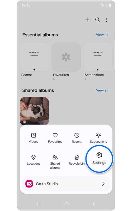 Gallery menu options