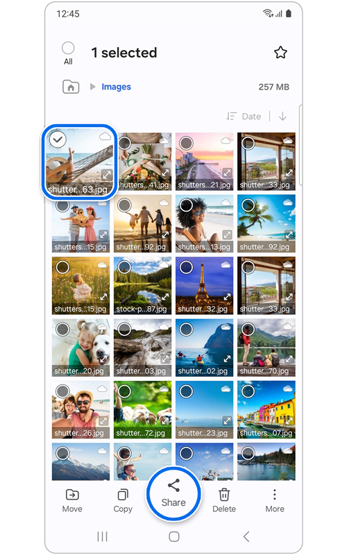 Galaxy phone screen showing a file and the share option selected