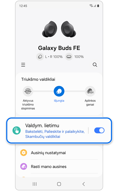 Galaxy Buds Nustatymų ekranas.