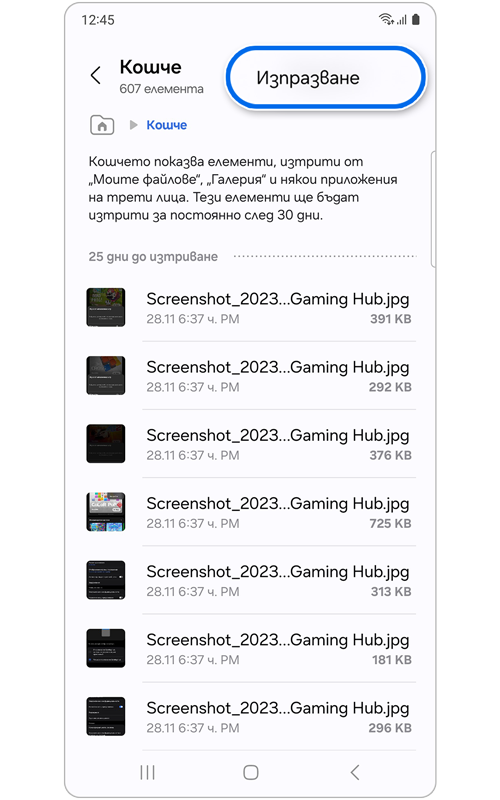 Начален екран на Кошче с избрана опция Изпразване
