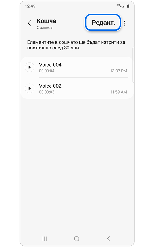 Кошче на Диктофон