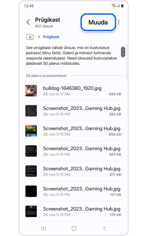 Prügikasti avaekraan