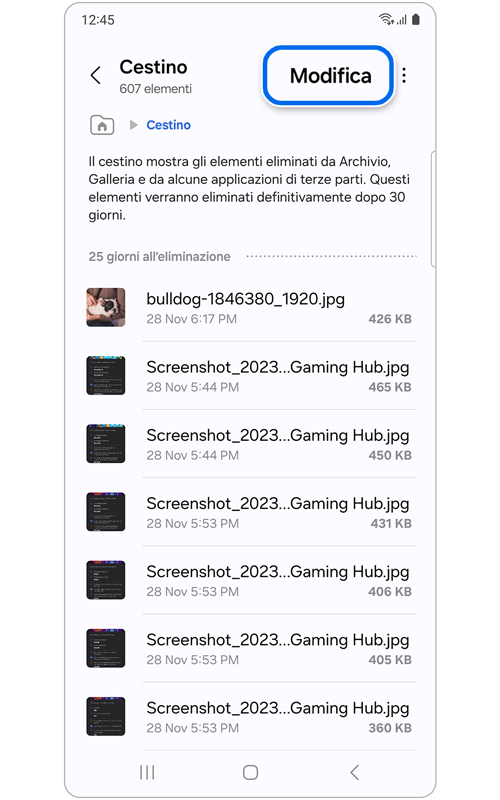 Schermata Home di Cestino