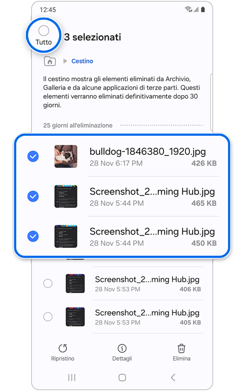 Schermo Home di Cestino con tutti i file selezionati