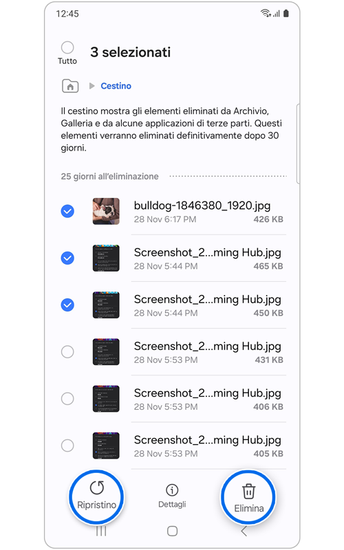 Schermo Home di Cestino con l'opzione Ripristino selezionata
