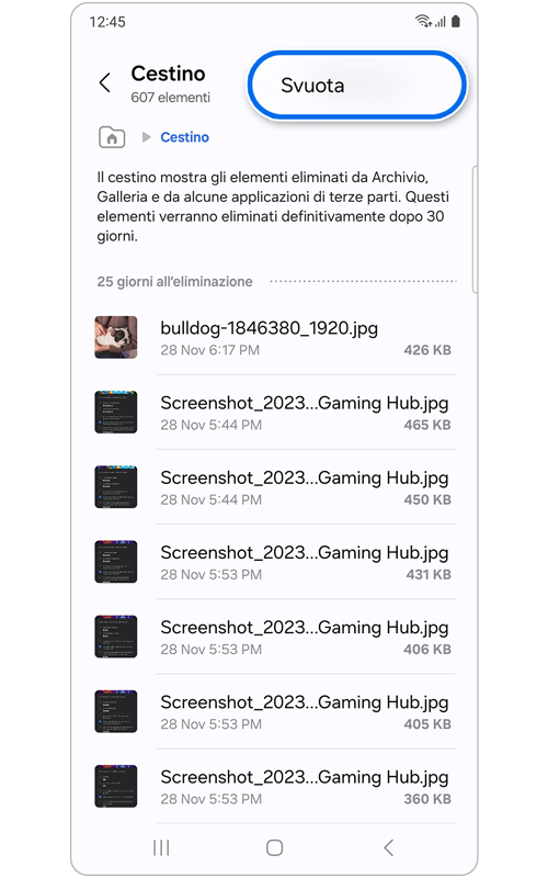 Schermata Home di Cestino con l'opzione Svuota selezionata