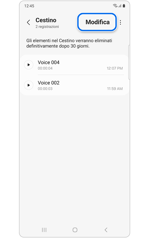 Cestino di Registratore Vocale