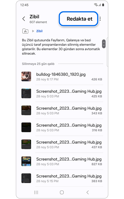 Zibil qutusu əsas ekranı