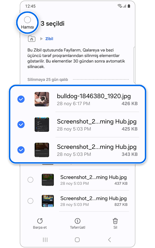 Seçilmiş fayllarla zibil qutusu əsas ekranı