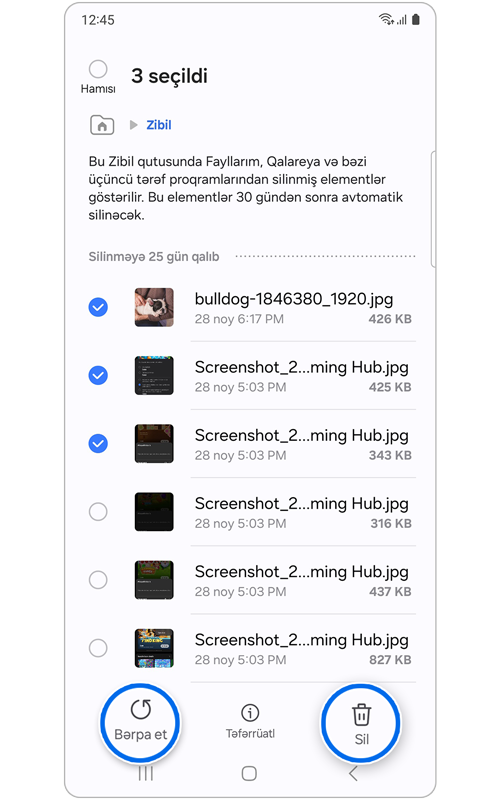 Bərpa seçimi ilə zibil qutusu əsas ekranı