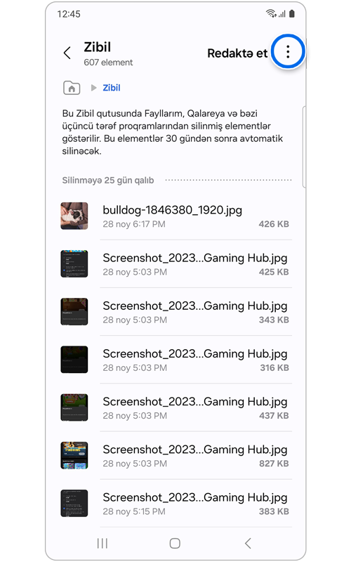 Zibil qutusu əsas ekranı