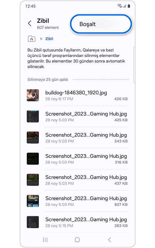 Boşalt seçim seçilmiş zibil qutusu əsas ekranı