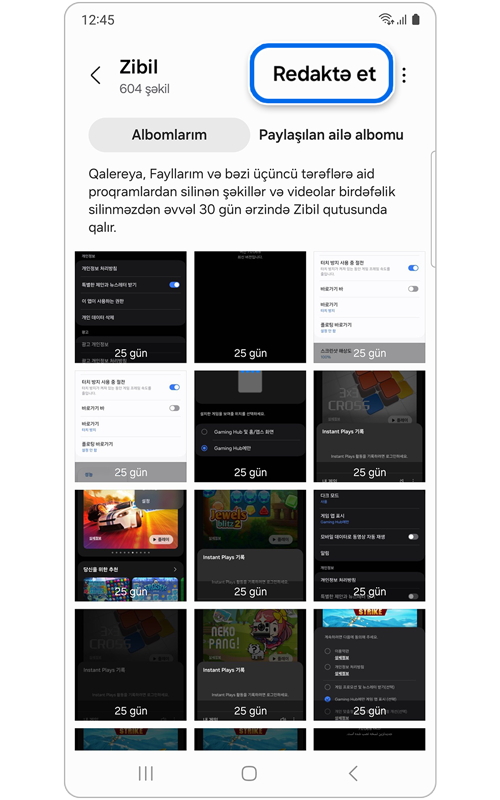 Qalereya zibil qutusu