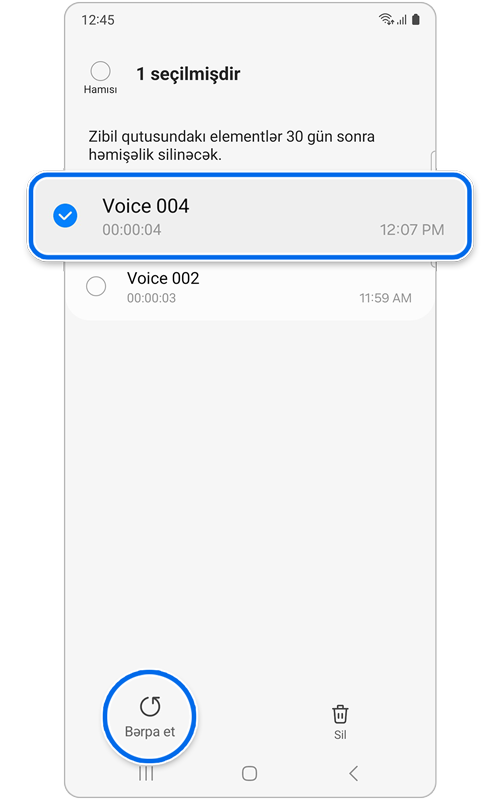 Səs yazan zibil qutusu