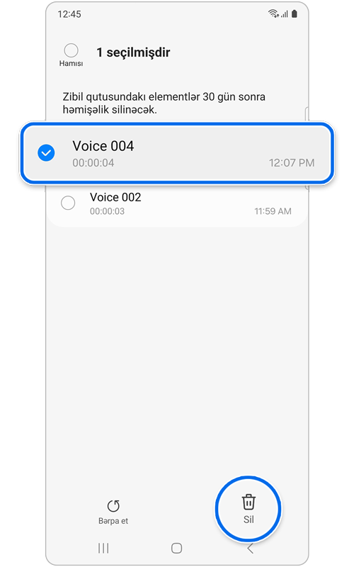 Fayllar və Sil seçimi seçildi