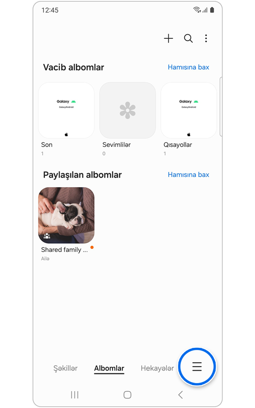 Qalereya tətbiqinin əsas ekranı