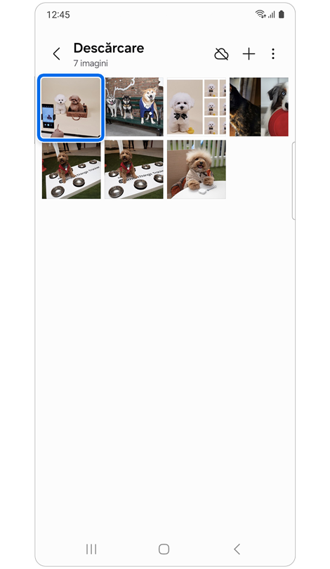 Pagina de pornire Galerie