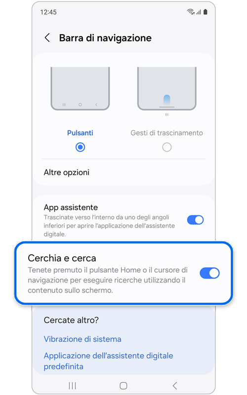 La schermata con l'opzione Cerchia per cercare attivata.