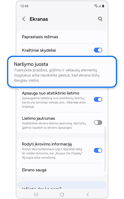 Pasirinkta „Naršymo juosta“.