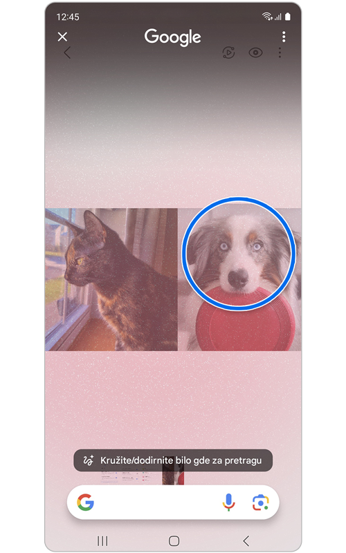 Zaokružite za pretragu aktiviran sa zaokruženim kućnim ljubimcem.