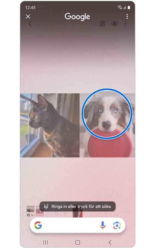 Rita runt för att söka aktiverad med ett husdjur inringat.