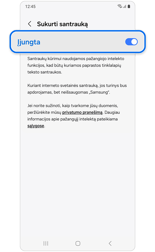 Funkcijos „Sukurti santrauką“ įjungimo jungiklis