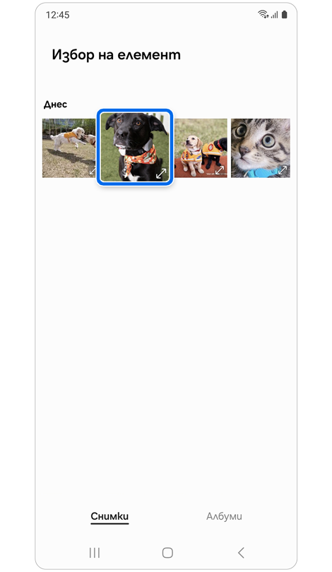 Изображения в Галерия