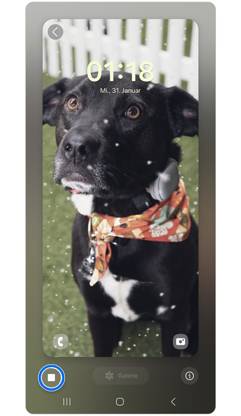 Vorschau auf die photoambienten Wettereffekte auf dem Hintergrundbild